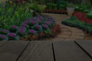Defocused and blur image of terrace wood and beautiful walkway p